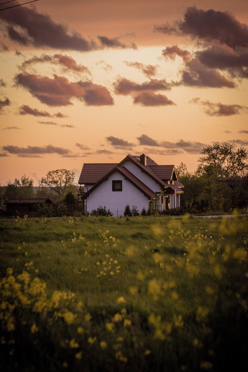 Královský ořešák v zahradě