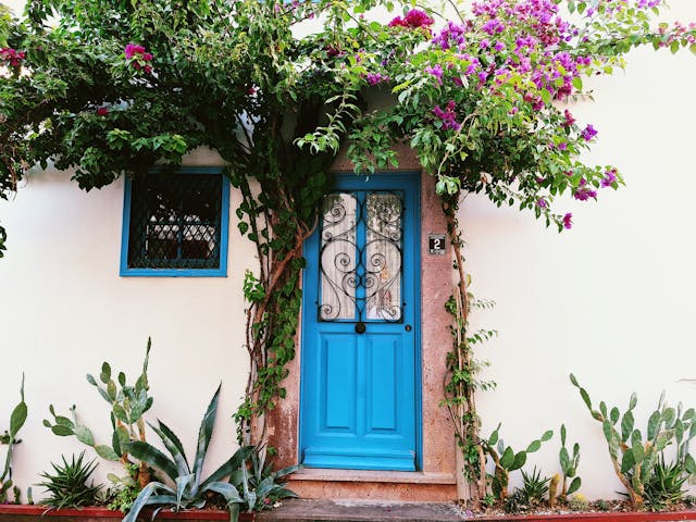 dveře se světlíkem